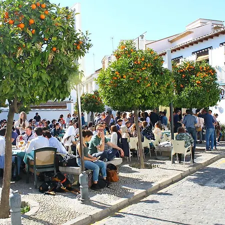 El Balcon Del Albaicin Apartment